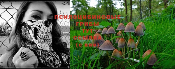 молекула духа Аркадак