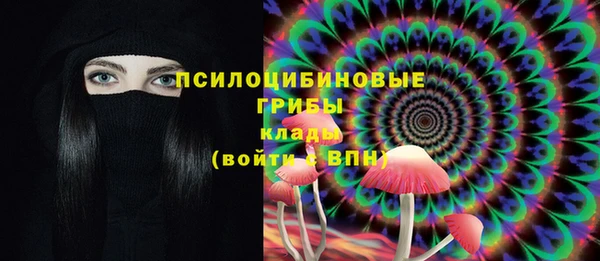 ГАЛЛЮЦИНОГЕННЫЕ ГРИБЫ Армянск